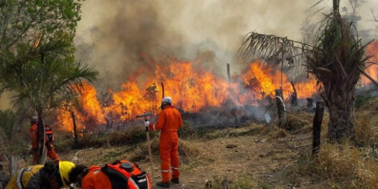 Emergencia nacional por incendios forestales: ¿Medidas efectivas o soluciones temporales?