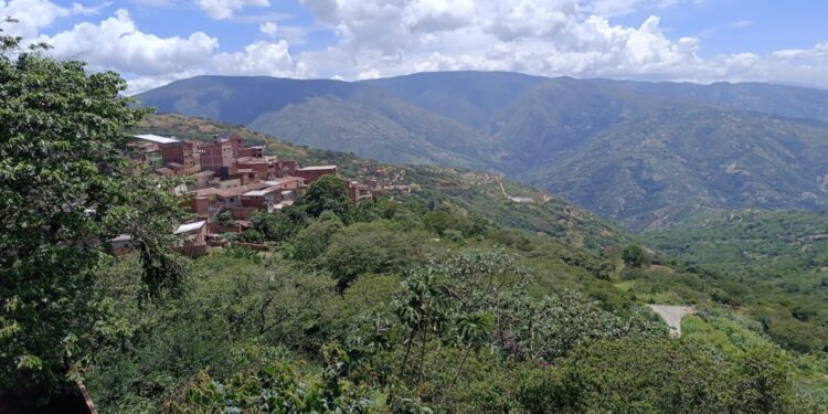 Innovador proyecto de agroforestería impulsa la seguridad alimentaria en Coripata, Bolivia
