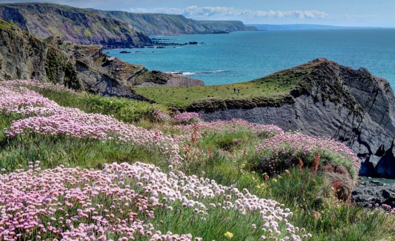 Descubre la belleza del Sendero de la Sal en la costa sur de Inglaterra