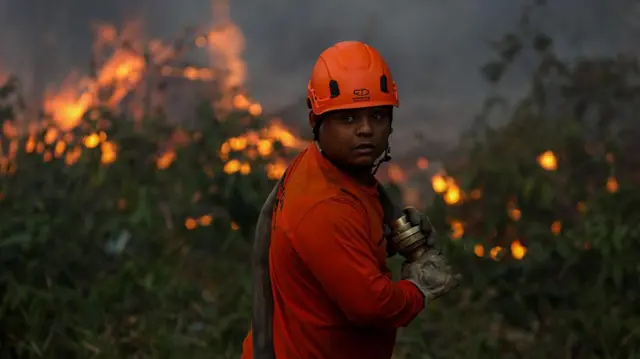 Incendios forestales arrasan con millones de hectáreas de bosques tropicales en América Latina en 2024