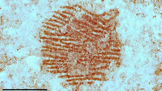 Descubren la huella dactilar humana más antigua del mundo en España