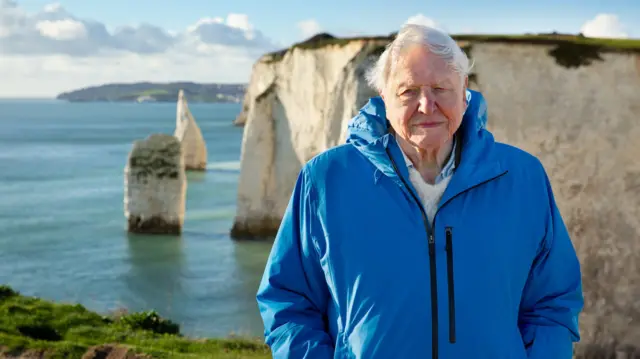 David Attenborough presenta su nueva película «Océano» en defensa de la biodiversidad marina