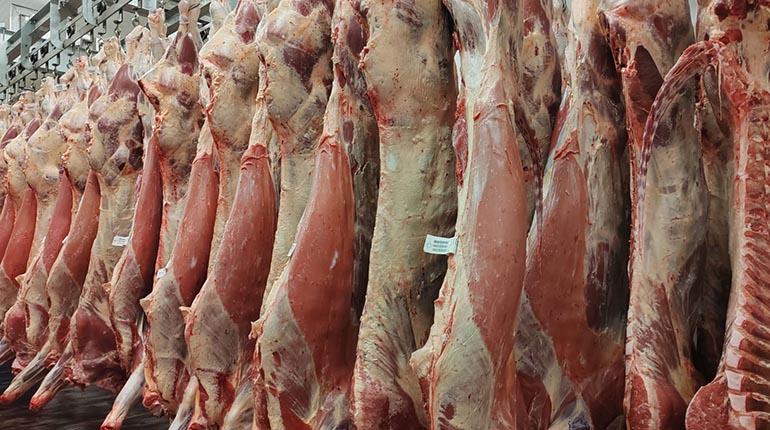 Frigosi S.A.: liderazgo en la industria cárnica boliviana y compromiso con la alimentación nacional.